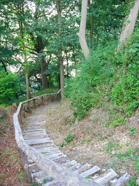 premier emonture escalier